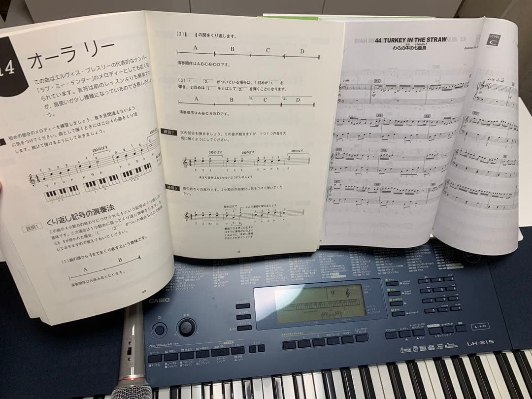 光でナビゲーションCASIO 61鍵盤電子ピアノ　マイク・楽譜付き(LK215)