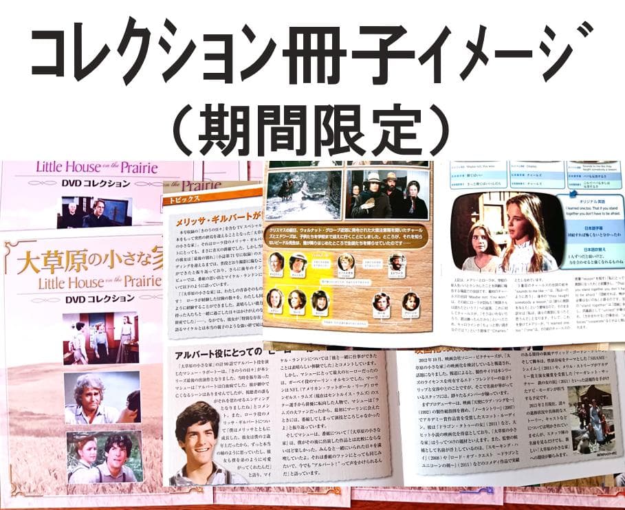 大草原の小さな家 DVDバリューパック 全巻セット