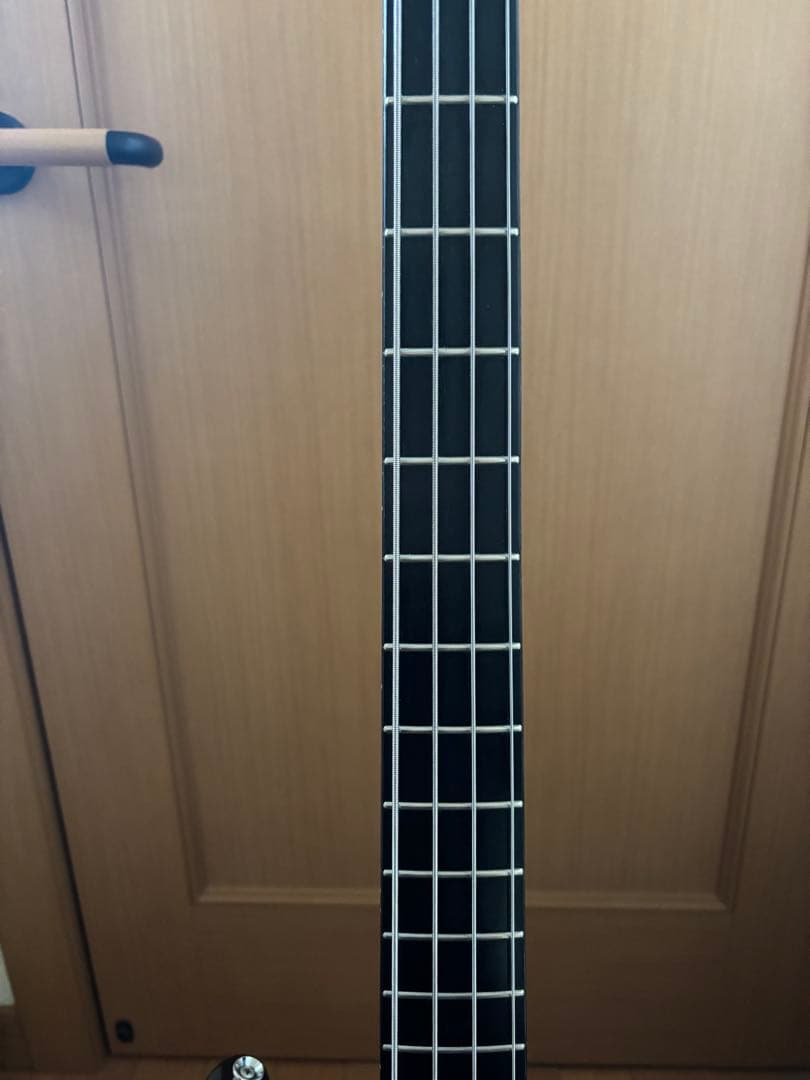 EDWARDS E-J-140 Fire Black／LUNA SEA／Jモデル