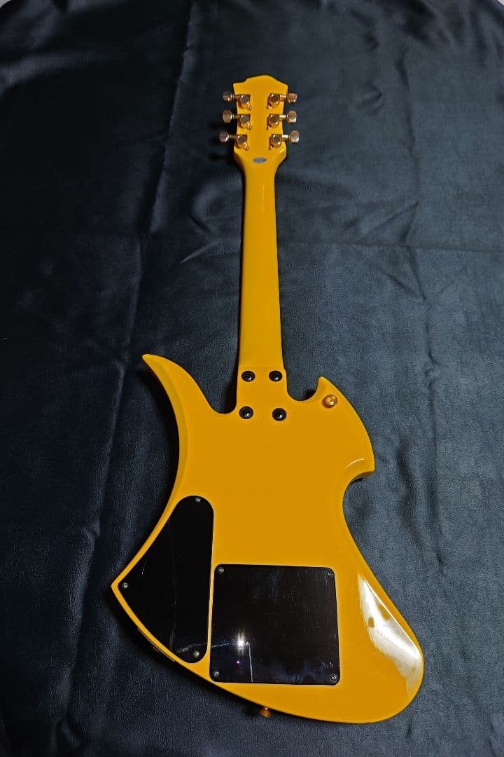 イエローハートJr　FERNANDES BURNY