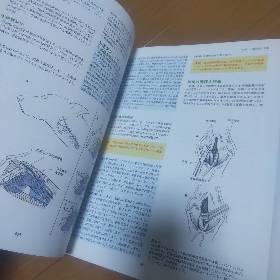 小動物外科手術 下