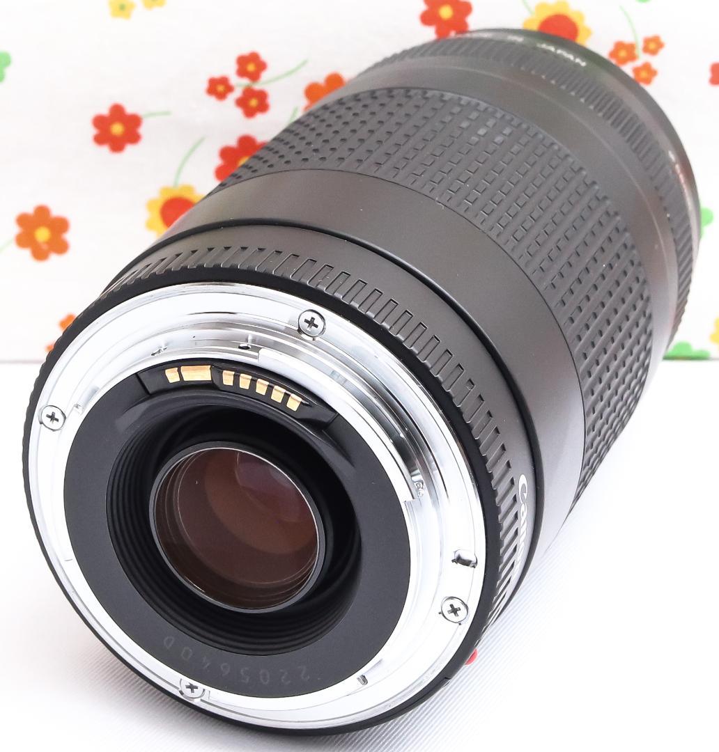 キャノン Canon 75-300mm☆超望遠レンズ☆フルサイズ機対応
