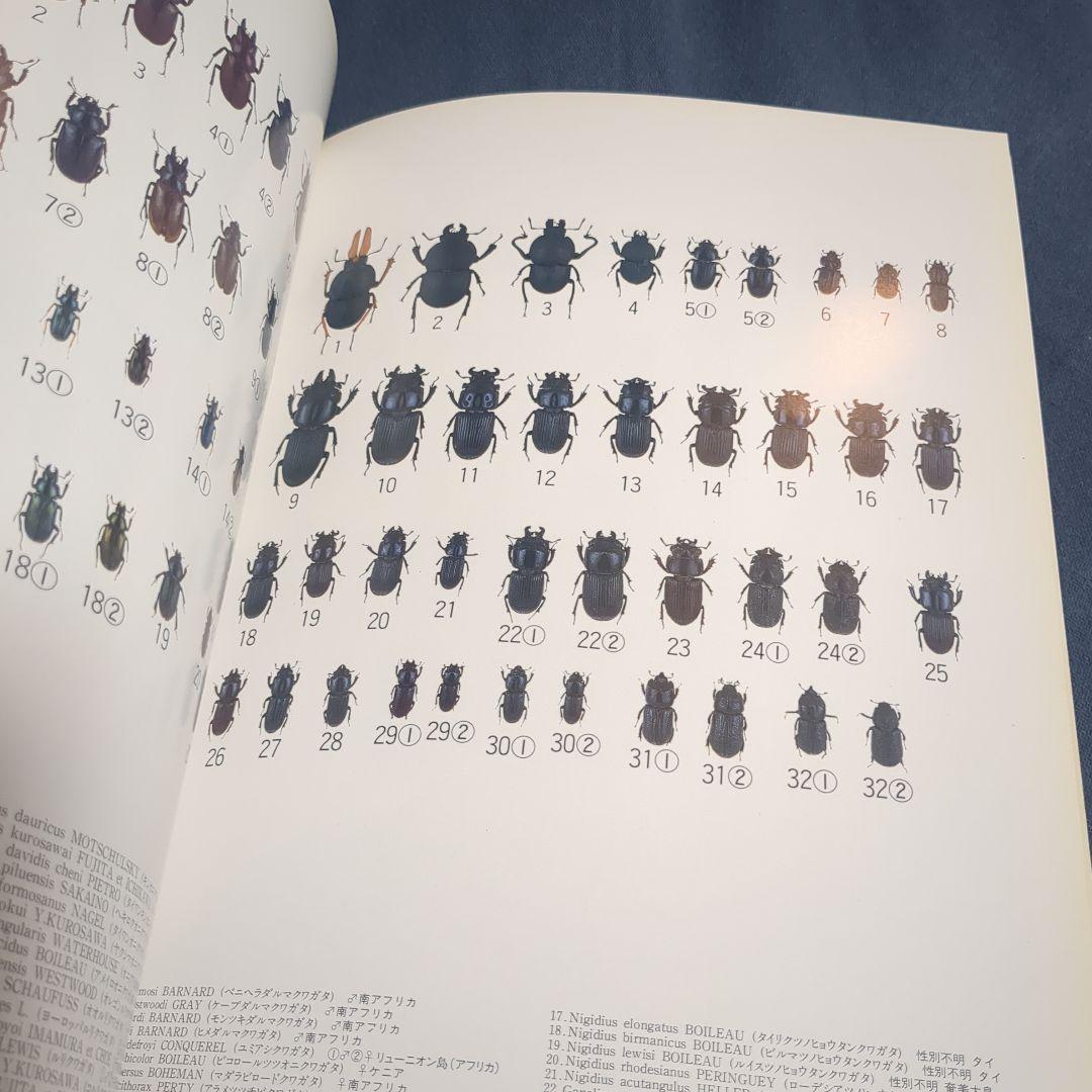 世界のクワガタムシ 池田時夫著