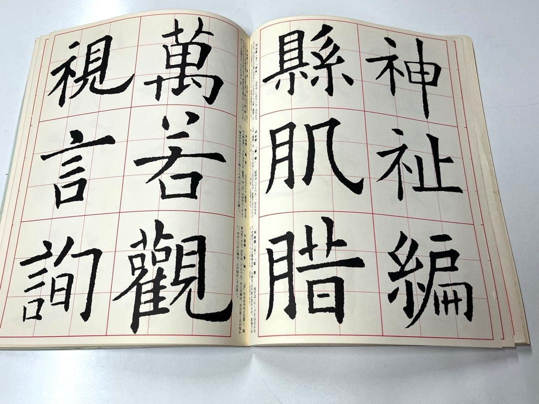 書道技法講座　二玄社刊　19冊