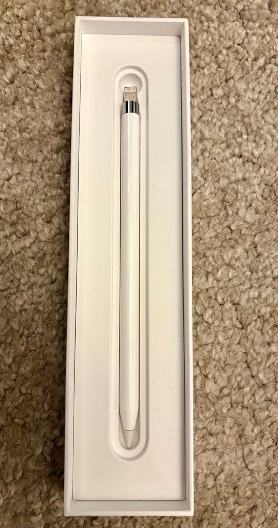 ポ*セ様 セット iPad pro 10.5インチ Apple Pencil キ