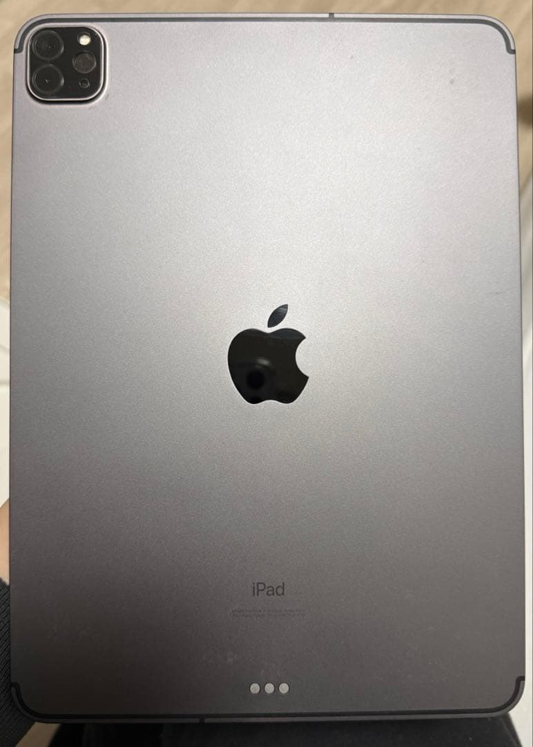 iPad Pro 11インチ 第2世代 256GB
