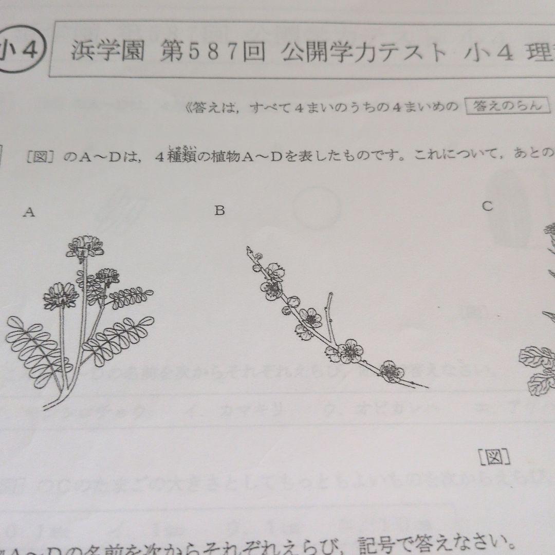 浜学園小4　公開学力テスト　国算理　2022年度＆2023年度