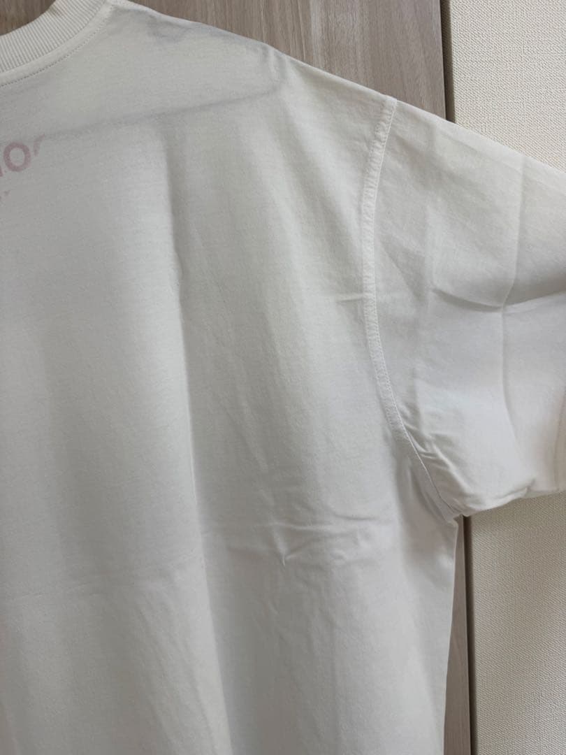 BURBERRY バーバリー ホースフェリープリント Tシャツ ホワイト M