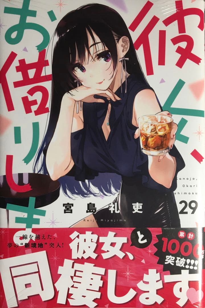 彼女、お借りします セット本