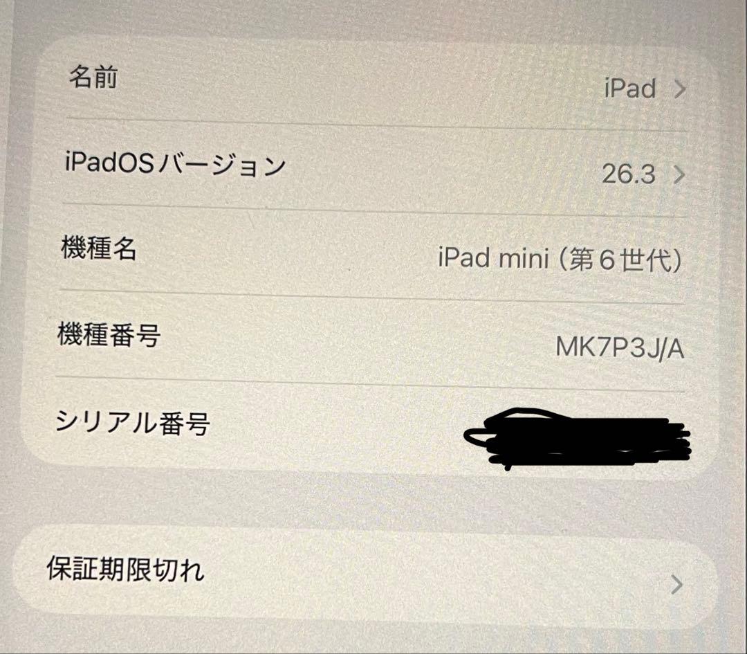 Apple iPad mini 第6世代　64GB ペンなし