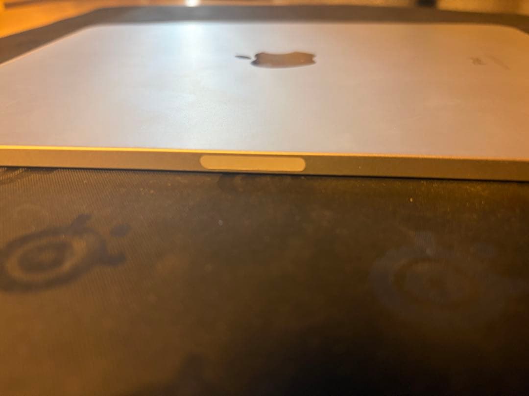 iPad Pro (11インチ) 第2世代 256GB シルバー