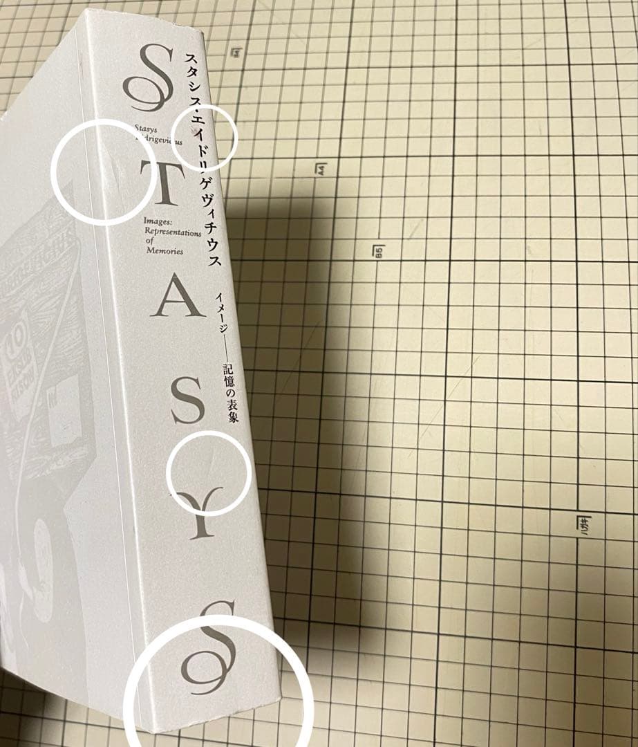 スタシス・エイドリゲヴィチウス　図録　展覧会　STASYS IMAGES