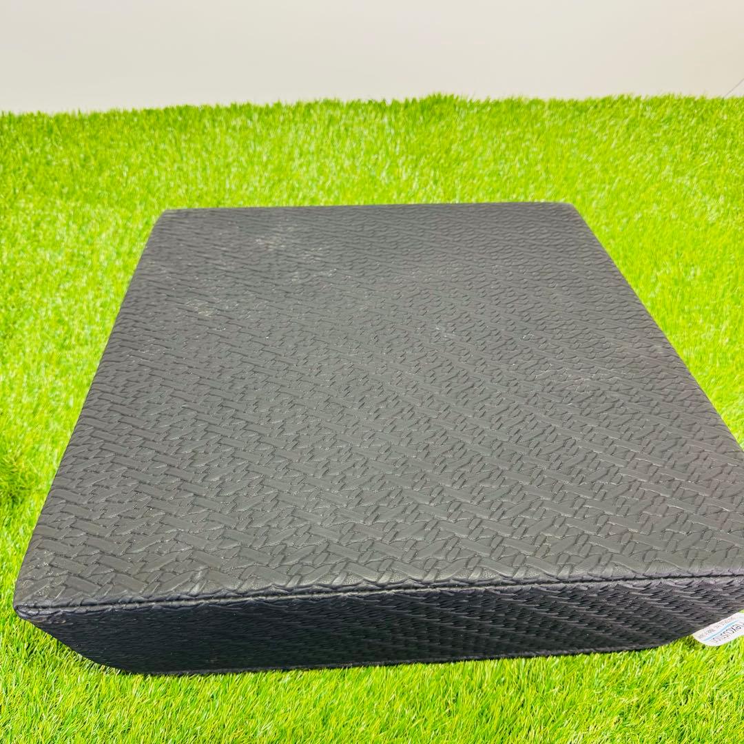 SANTEPLUS フレックスクッション サンテプラス　Flexcushion