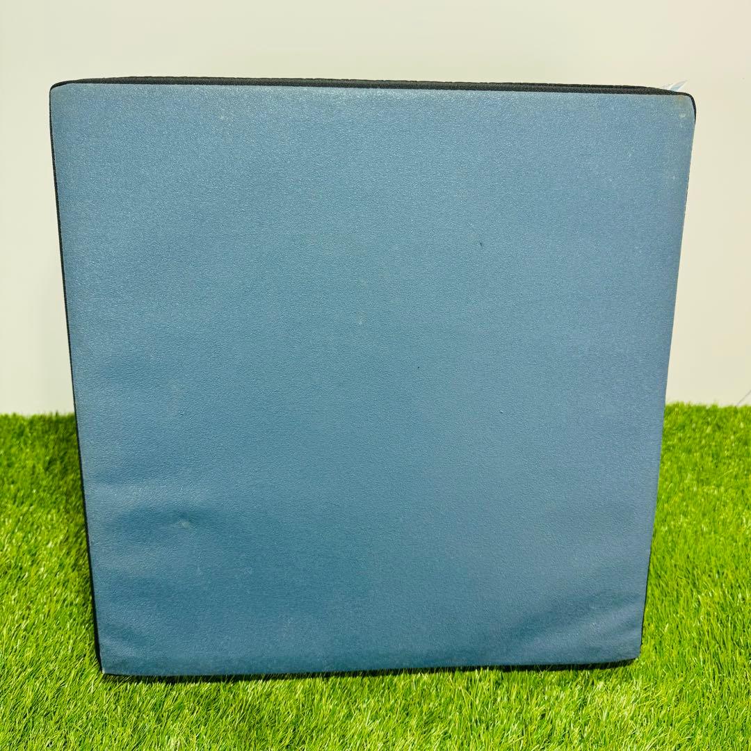 SANTEPLUS フレックスクッション サンテプラス　Flexcushion