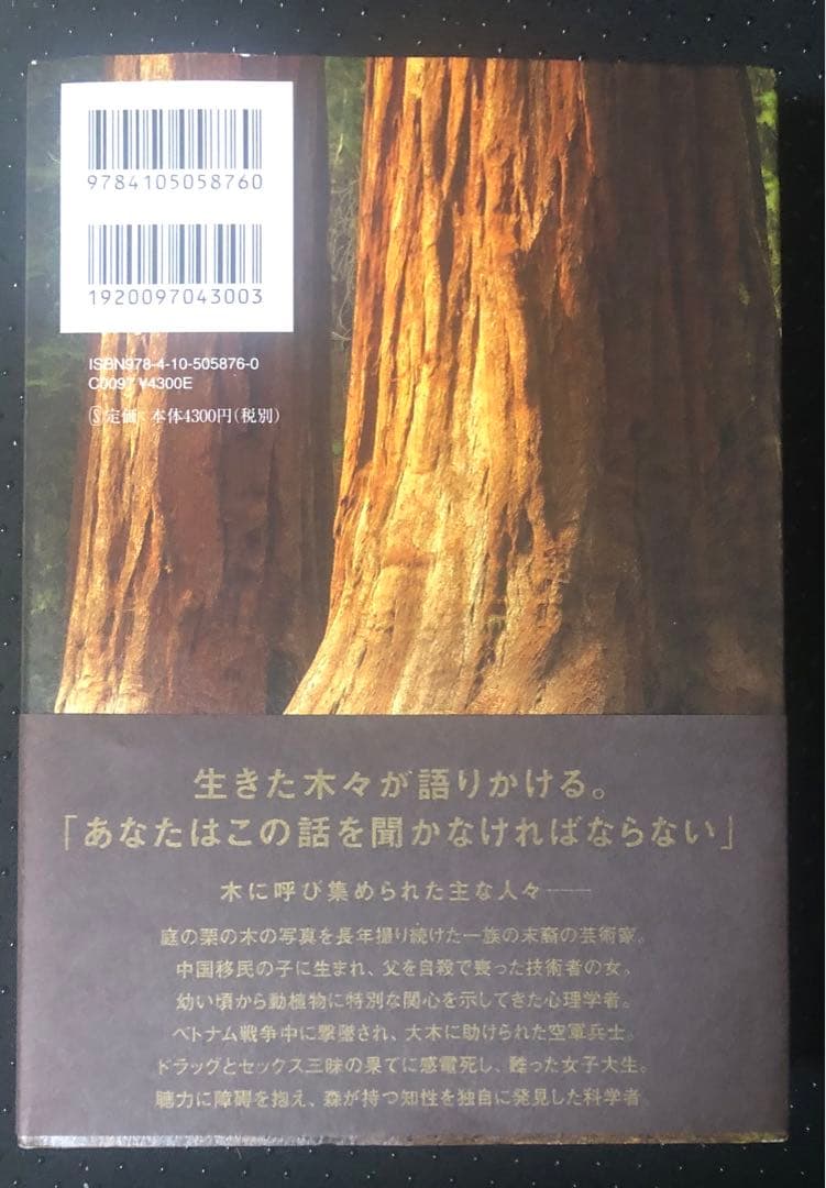 オーバーストーリー
