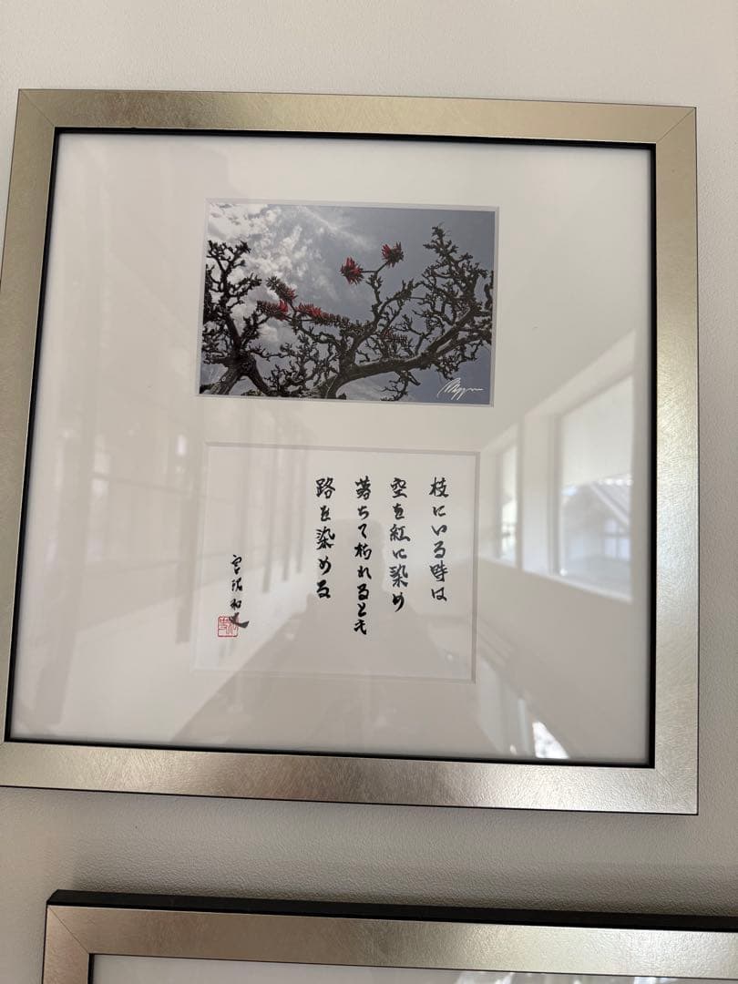 宮沢和史　写真　ブエノスアイレス　沖縄　筆跡入り　シリアルナンバー入り　10点