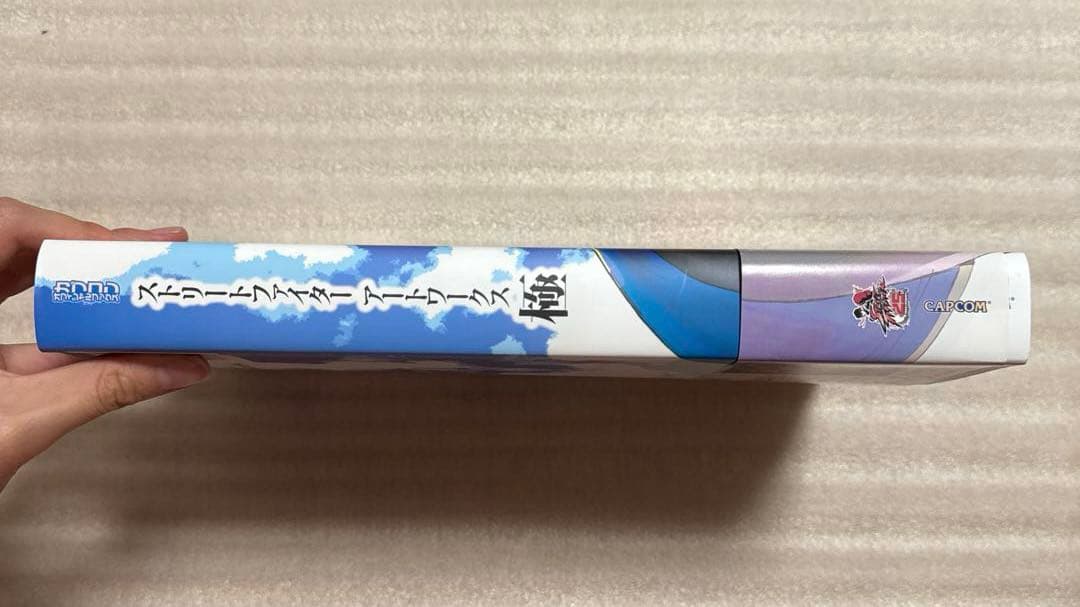 ストリートファイターアートワークス極