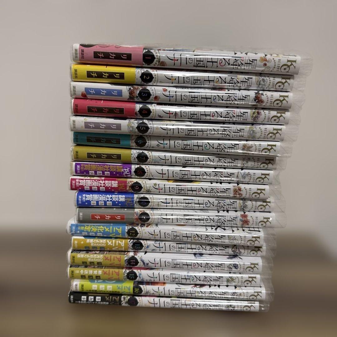 【比較的美品】最新刊を買えば追いつける！星降る王国のニナ 1〜17巻セット！