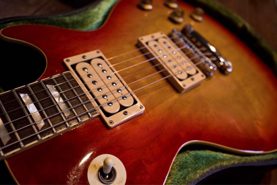 Tokai Reborn Old 1980 /LS-60:LS-80ハイブリッド