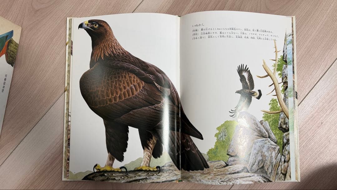 薮内正幸　野鳥の図鑑　日本の野鳥セット　全6冊　ハードカバー版