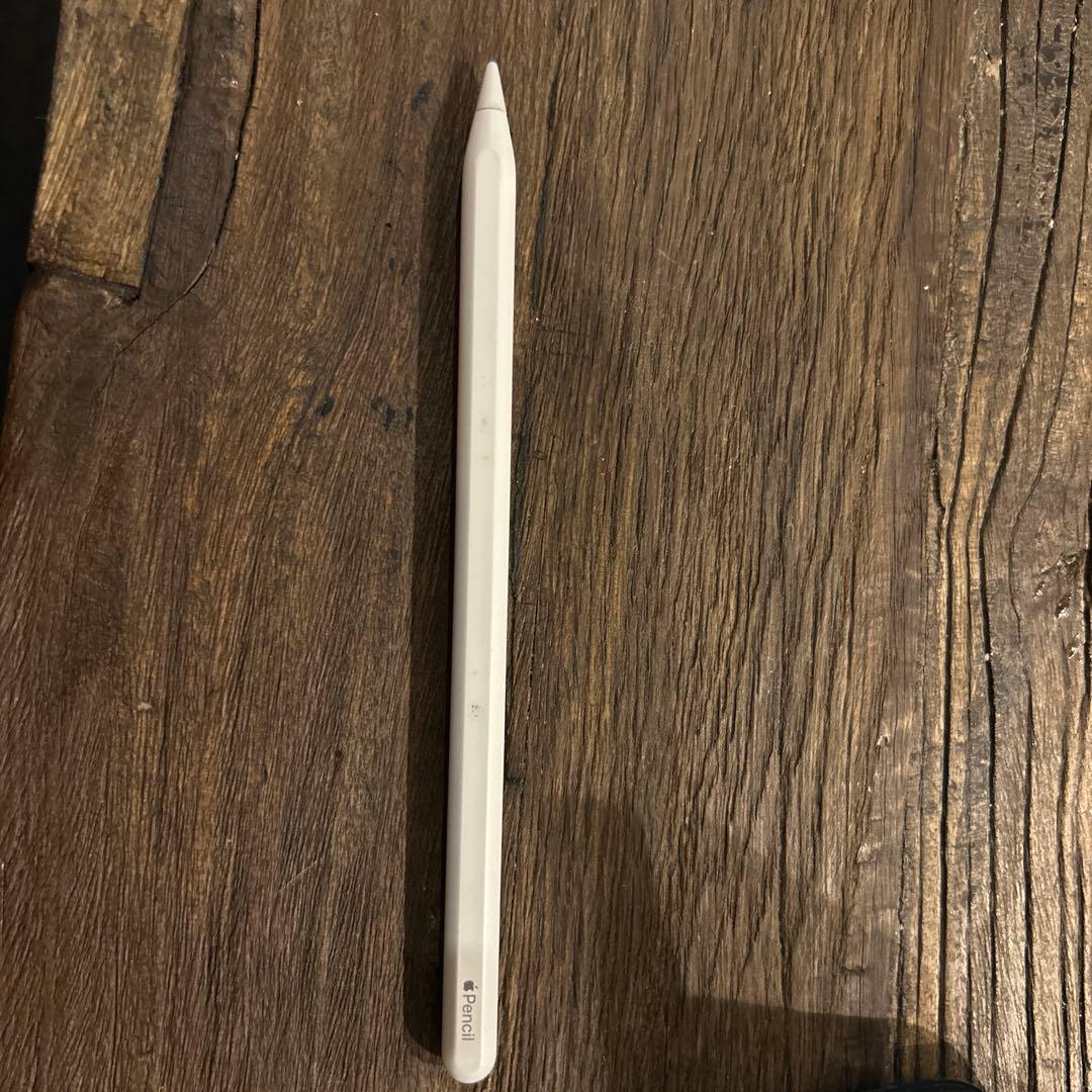 iPad本体 M1 iPad Pro (11-inch) 256GB cellular