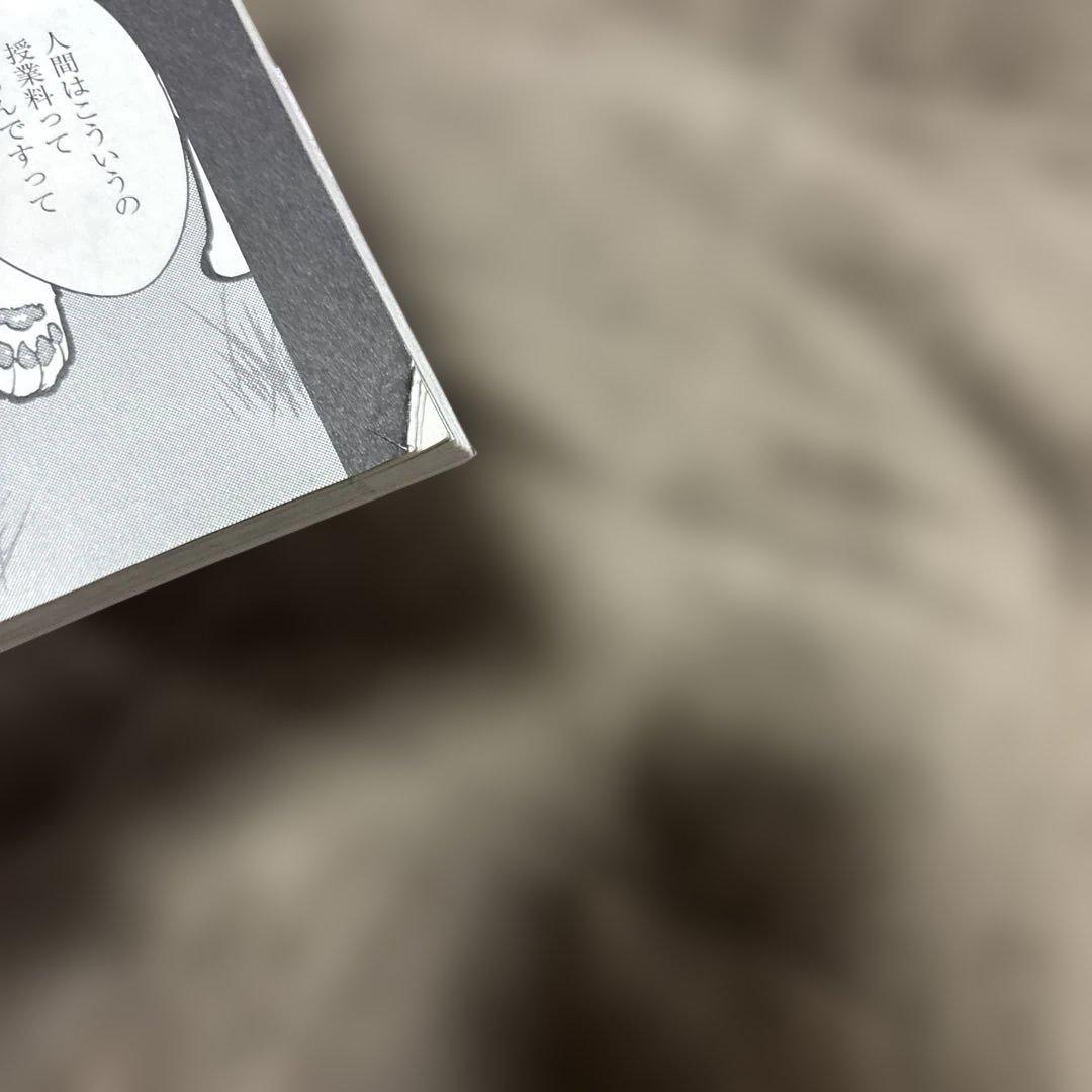 猫と竜 全巻 1-12巻 アマラ 佐々木泉 大熊まい 全初版 希少