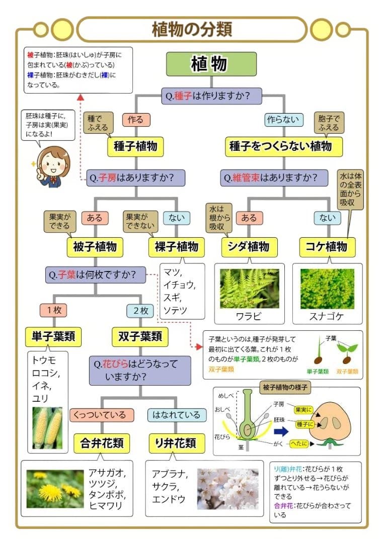 ゆう商品