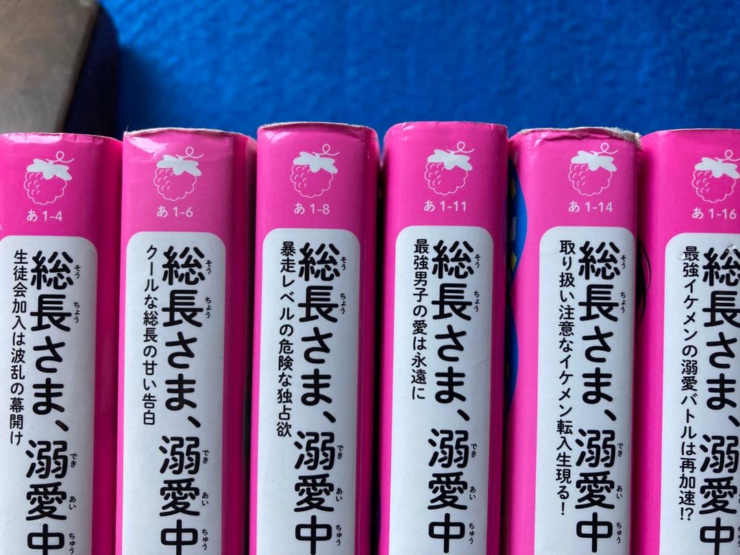 おまけ付き　総長さま、溺愛中につき。 全巻15巻・ファンブックなど　計17冊　★