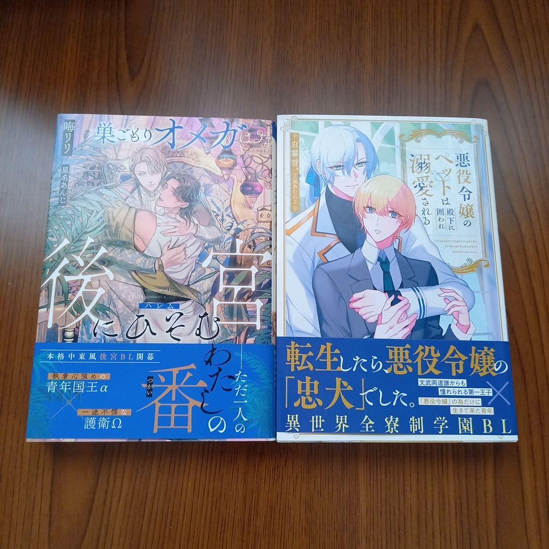 アンダルシュノベルスBLノベルまとめ売り13冊