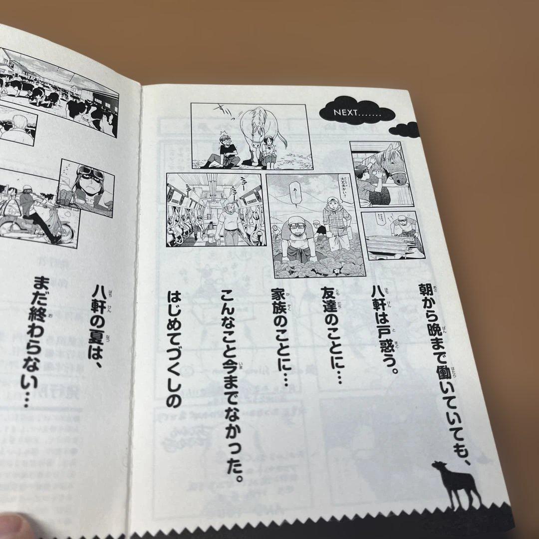 荒川弘 鋼の錬金術師 全巻 銀の匙 全巻 RAIDENー18 ライデン 1巻
