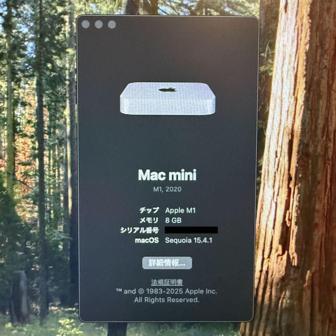 Mac mini (M1,2020) 8GBメモリ / 256GB SSD