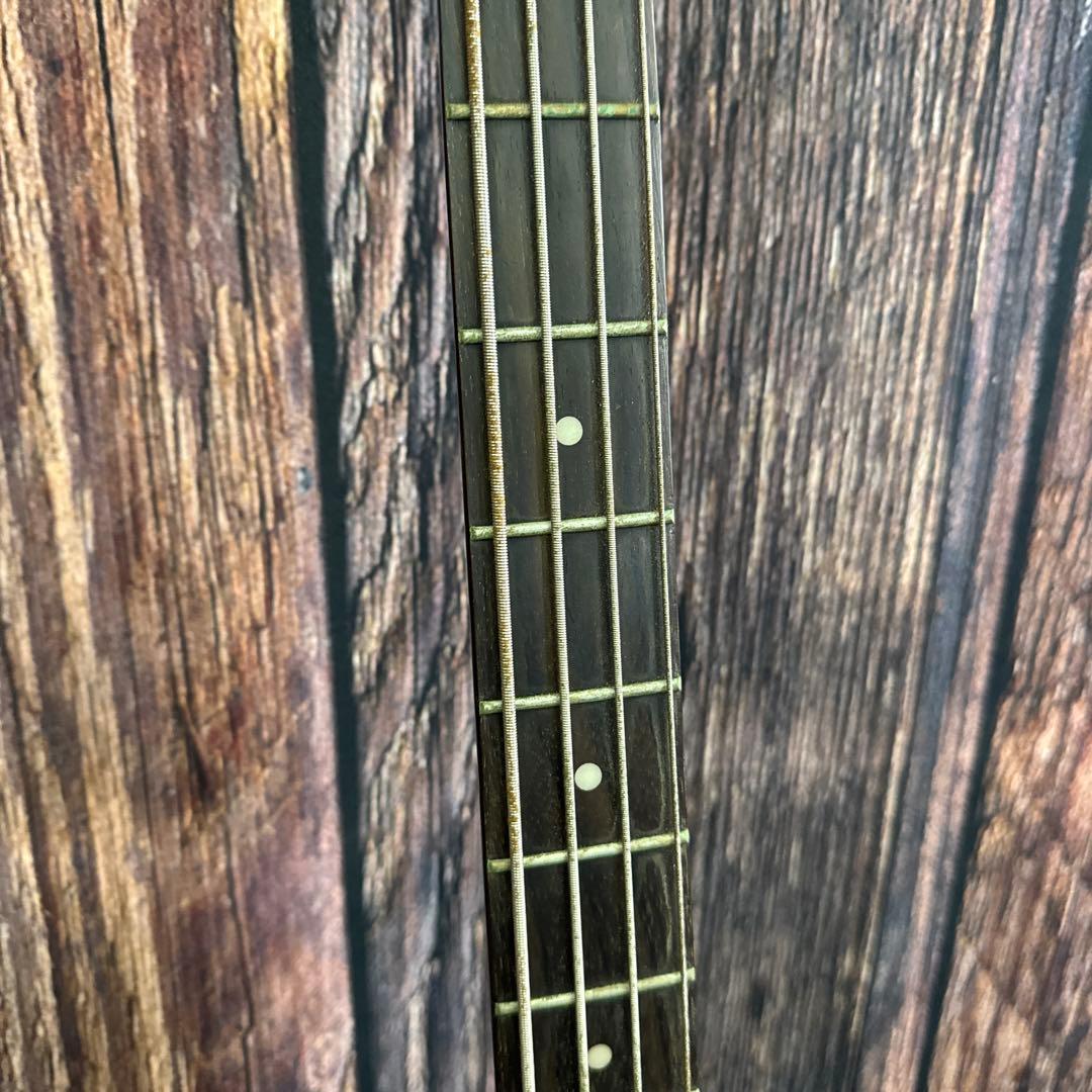 Epiphone VIOLA BASS エピフォン ビオラベース