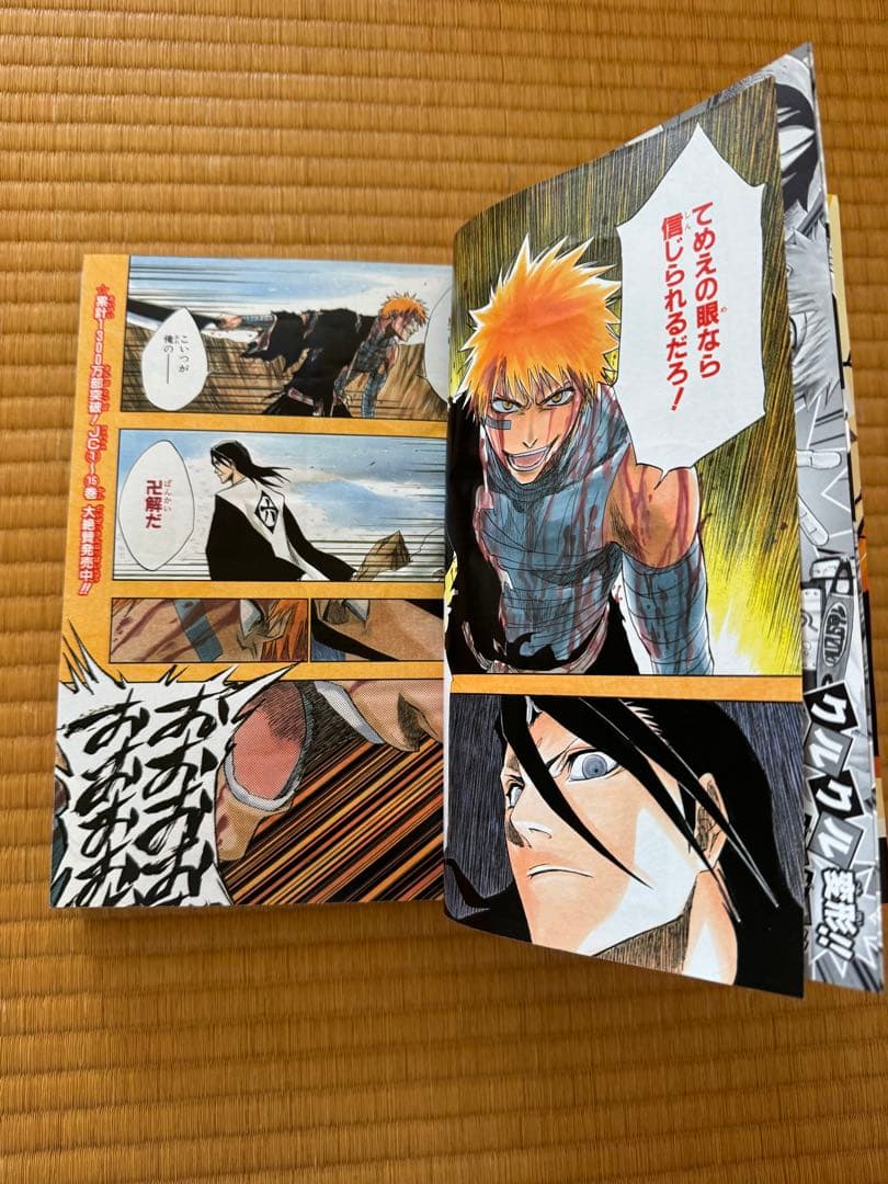週刊少年ジャンプ 2005年 6号　BLEACH