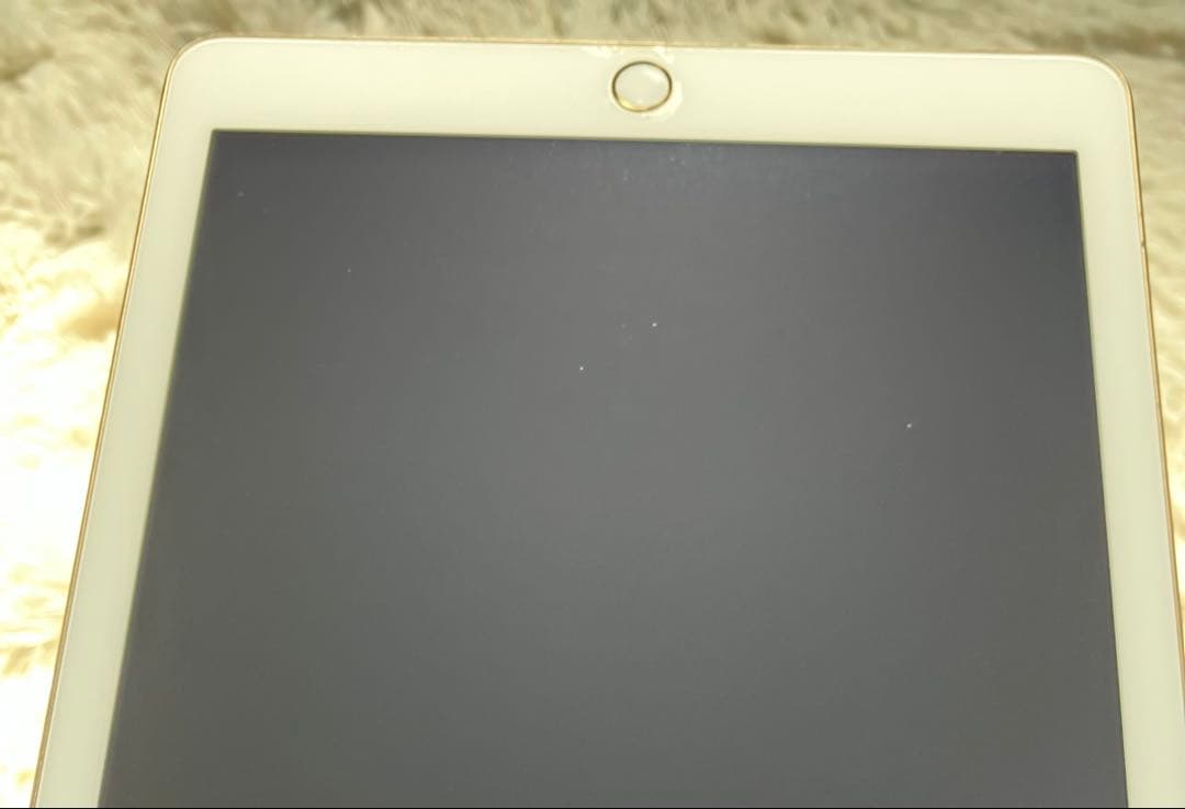 【早い者勝ち】iPad 第5世代 128GB 【すぐ発送】【付属品】