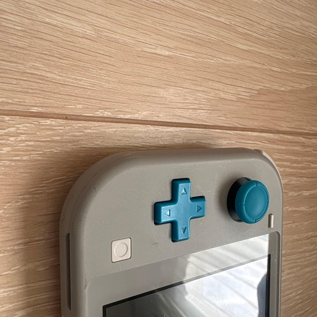 青*り様 Nintendo Switch Lite ポケモン