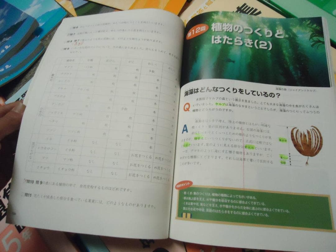 四谷大塚 　5年予習シリーズ　演習問題集/漢字 上下　 2020年度 中古