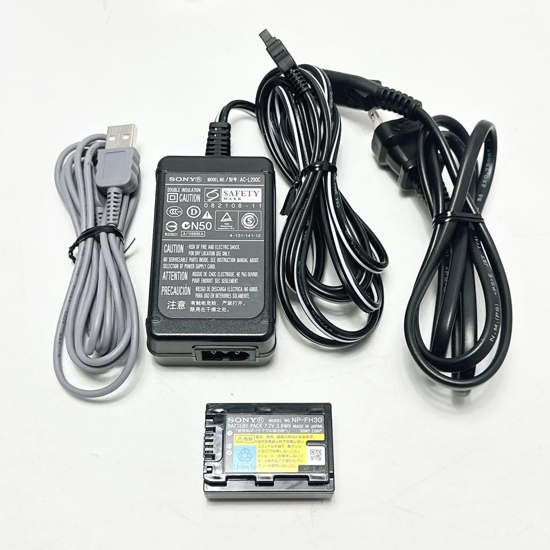SONY DCR-SX41 ビデオカメラ