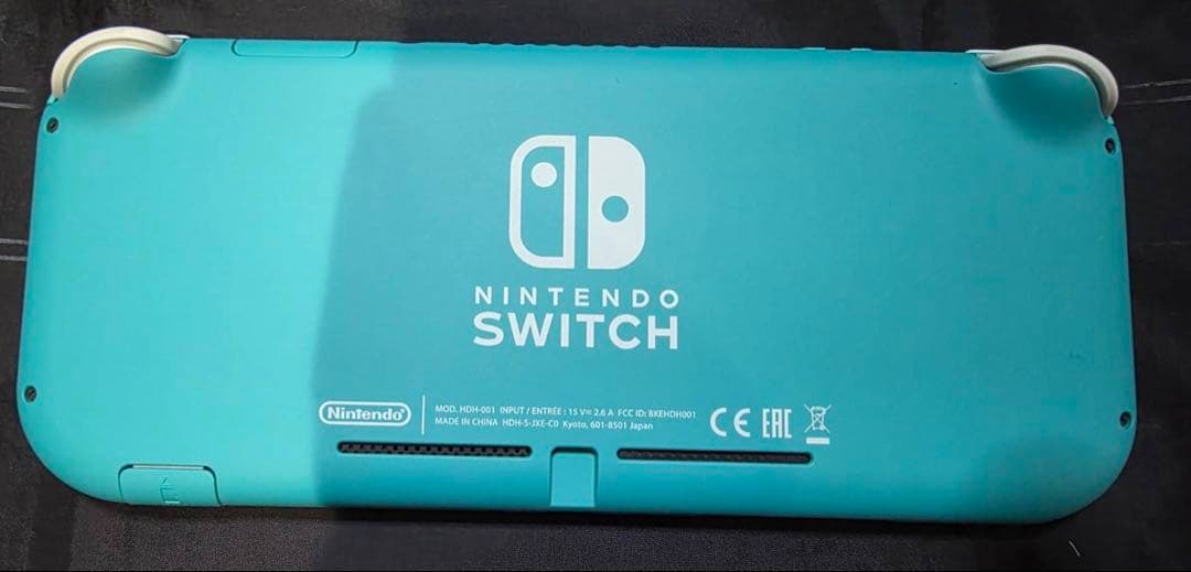 雨*様 Nintendo Switch Lite ターコイズ　ケース付