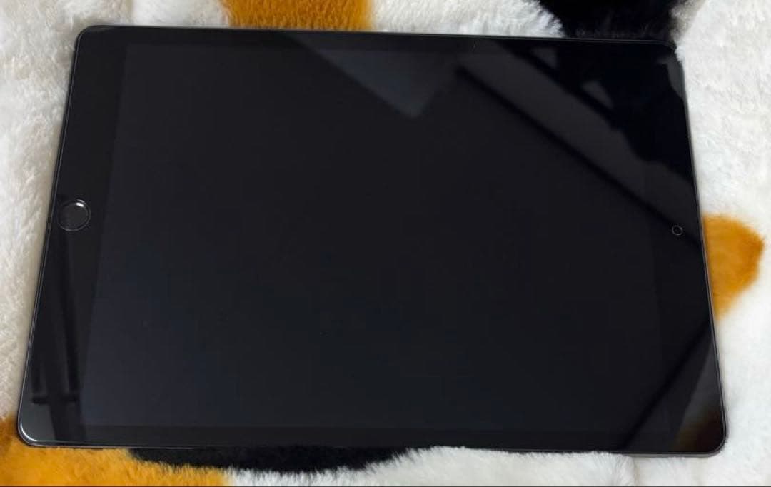 iPad (第9世代) WiFiモデル スペースグレー