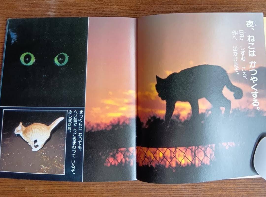 ねこ 小学館こども文庫　科学シリーズ　⑨ (1982年)