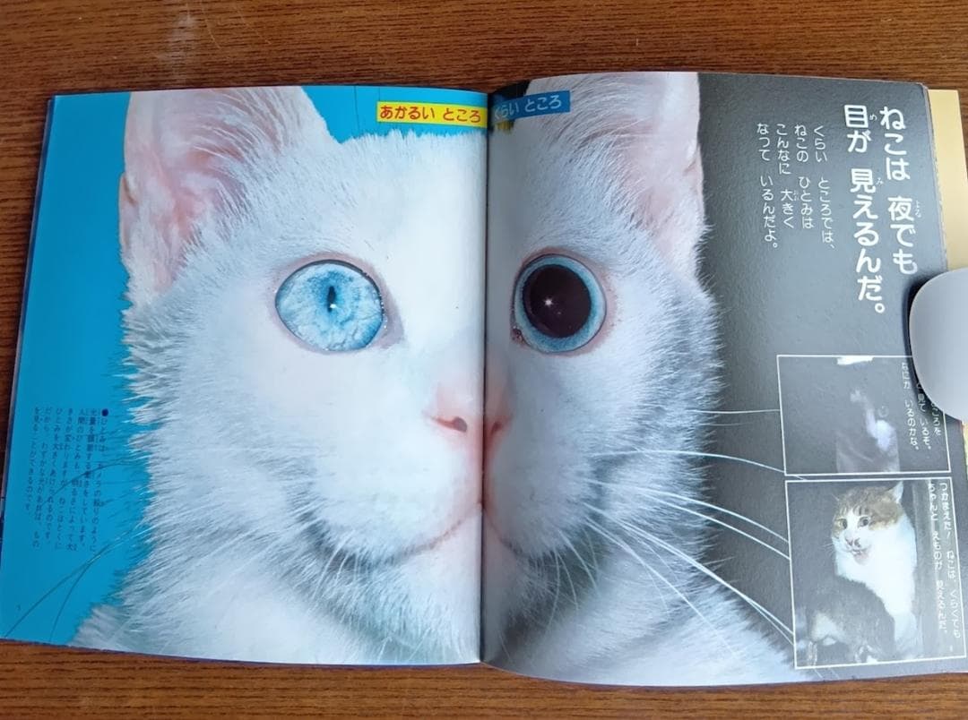 ねこ 小学館こども文庫　科学シリーズ　⑨ (1982年)