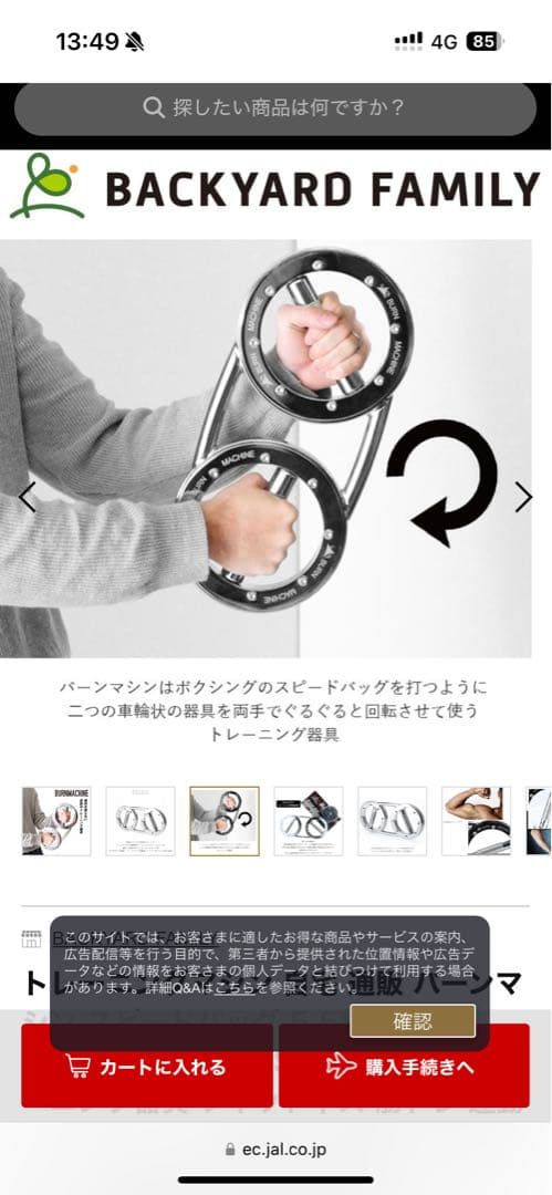 バーンマシン スピードバッグ 筋トレ フィットネス トレーニング ダイエット