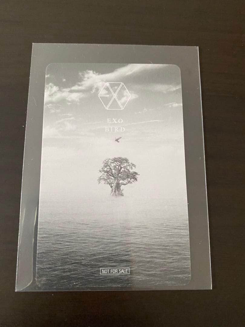 ベッキョン トレカ Bird EXO エクソ おまけ付き