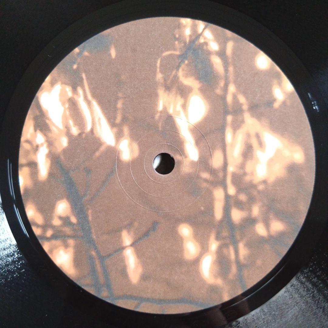 GAS KONIGSFORST 2LP KOMPACT レコード