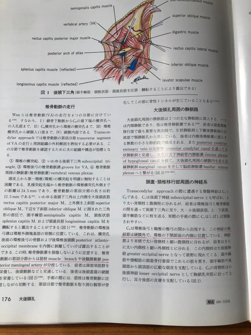 手術のための脳局所解剖学