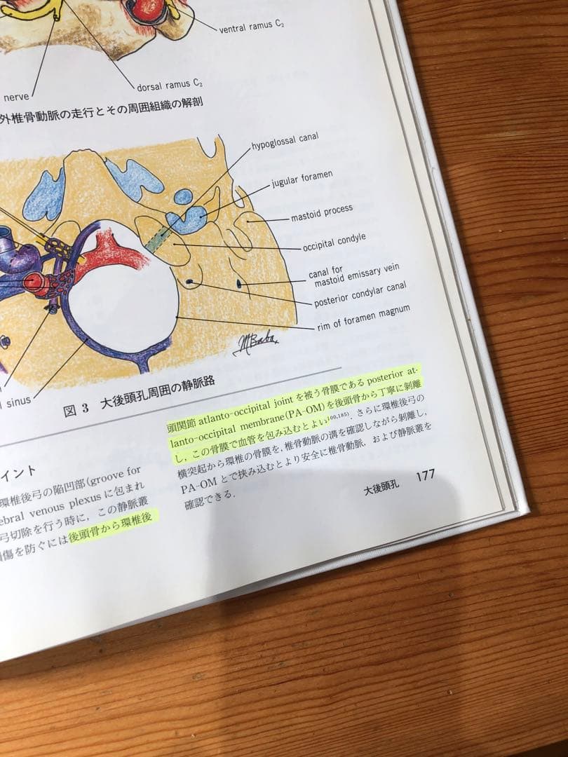 手術のための脳局所解剖学