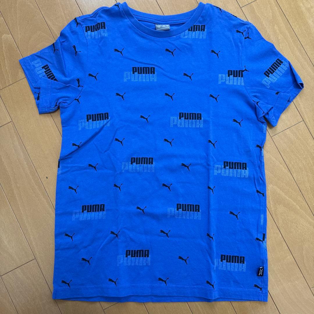 boys夏服セット150