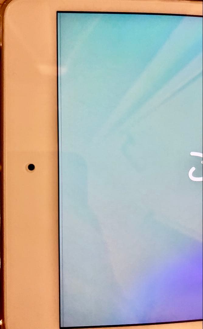 <22日まで値下げ中>iPad mini5 256GB スペースグレイ