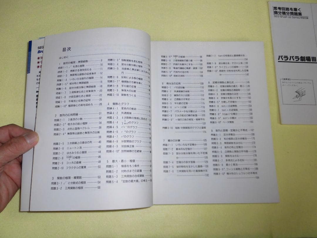思考回路を磨く 微分・積分 問題集 米谷達也 SEG出版　初版