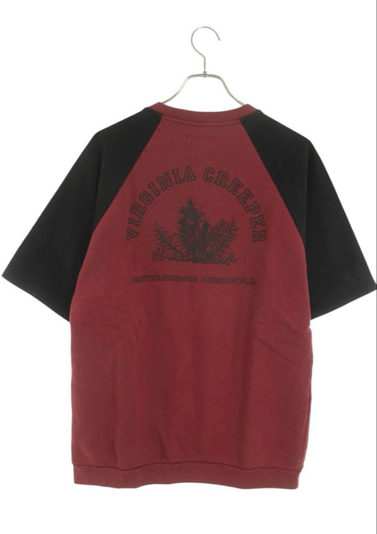 トップス raf simons archive Virginia Creeper M